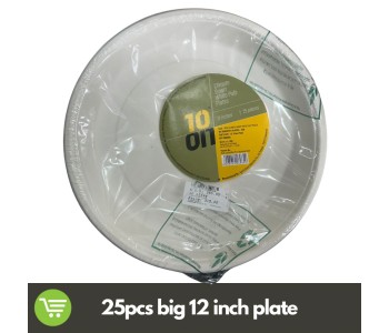 10 ON DISPOSABLE WHITE PULP PLATES BIG 12 INCHES